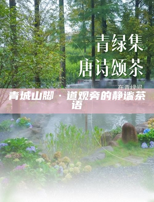 青城山脚·道观旁的静谧茶语