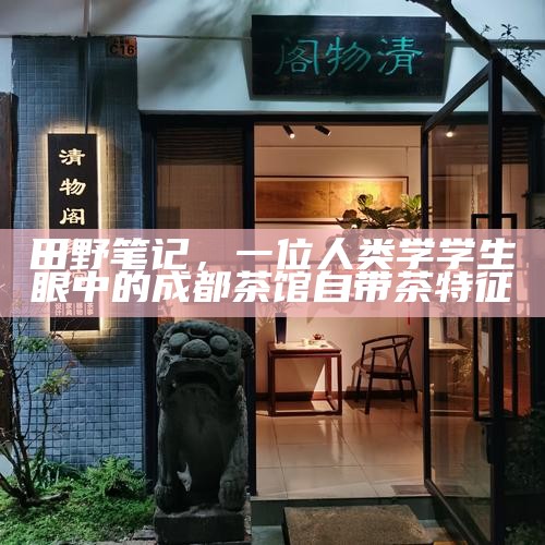 田野笔记，一位人类学学生眼中的成都茶馆自带茶特征